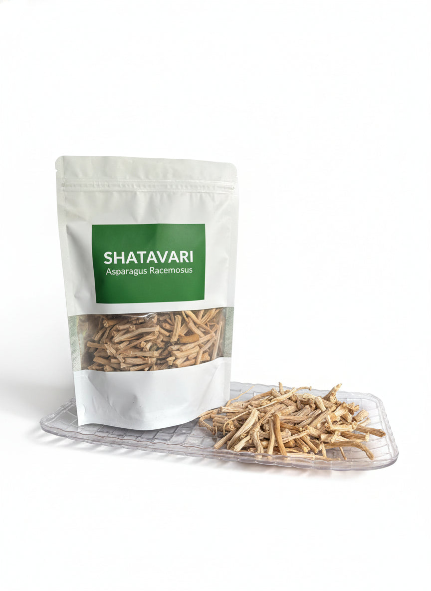 Shatavari Raw Drug - Premium Asparagus Racemosus Roots | Best Quality