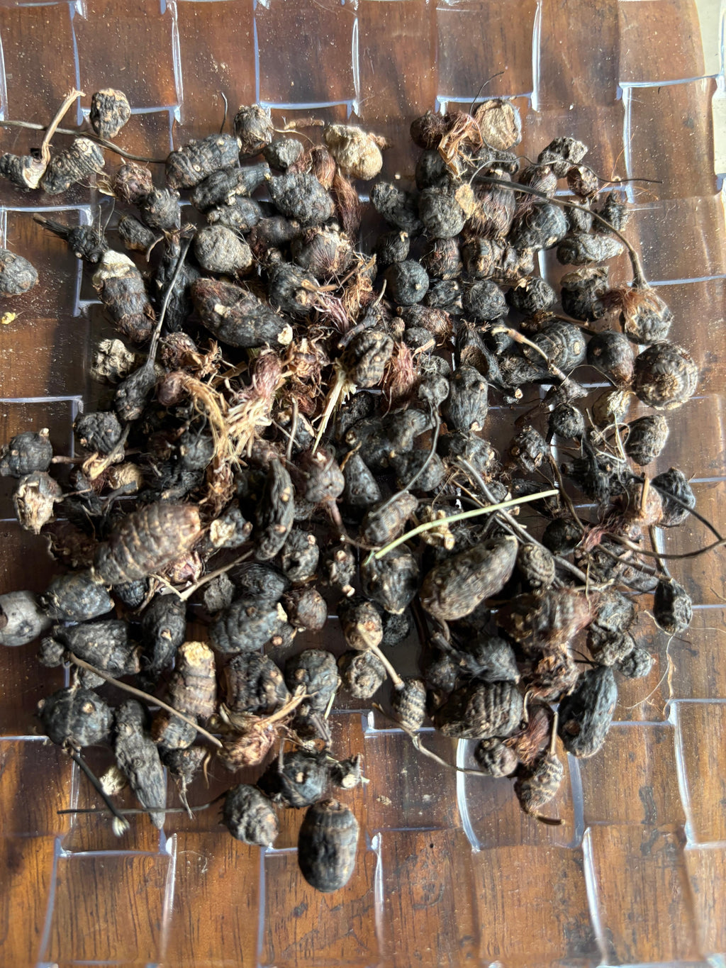 Mustha Raw Drug - Premium Cyperus Rotundus | Nut Grass Tubers